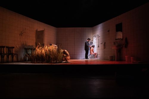 ΦΕΣΤΙΒΑΛ ΑΘΗΝΩΝ ΕΠΙΔΑΥΡΟΥ: grape - Greek Agora of Performance